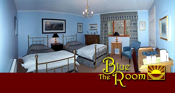 The Blue Room: a twin with private facilities across the hall!
