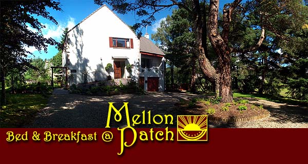 Bed & Breakfast at MellonPatch: comfortable, friendly and affordable lodgings in the heart of Scotland's beautiful Strathspey country!